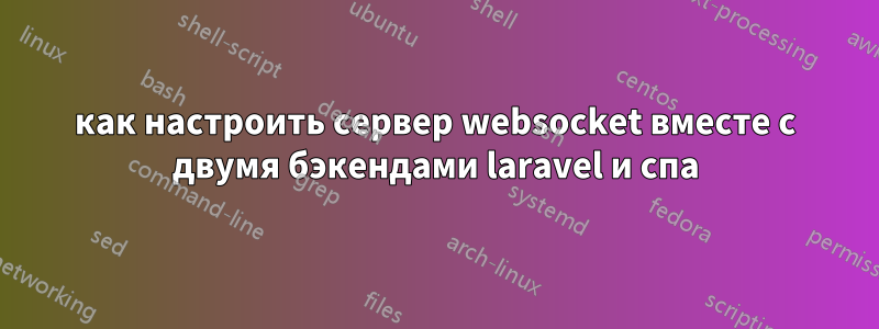 как настроить сервер websocket вместе с двумя бэкендами laravel и спа