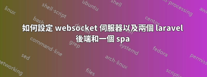 如何設定 websocket 伺服器以及兩個 laravel 後端和一個 spa