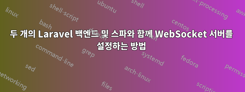 두 개의 Laravel 백엔드 및 스파와 함께 WebSocket 서버를 설정하는 방법