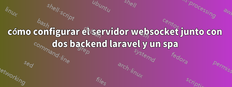 cómo configurar el servidor websocket junto con dos backend laravel y un spa