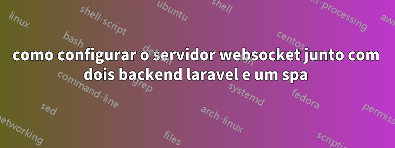 como configurar o servidor websocket junto com dois backend laravel e um spa