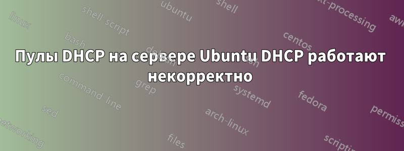 Пулы DHCP на сервере Ubuntu DHCP работают некорректно