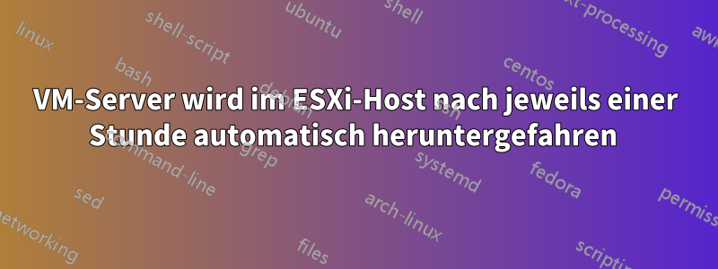 VM-Server wird im ESXi-Host nach jeweils einer Stunde automatisch heruntergefahren 