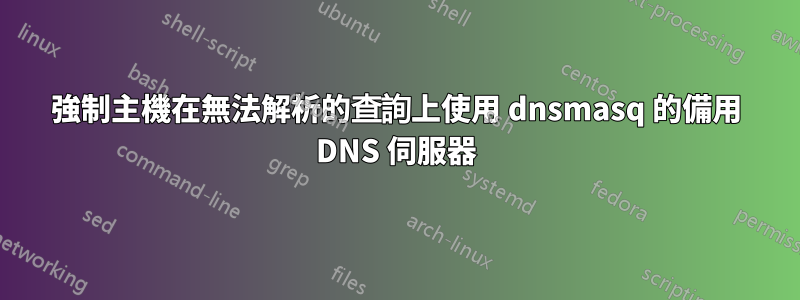 強制主機在無法解析的查詢上使用 dnsmasq 的備用 DNS 伺服器