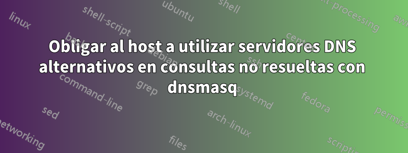 Obligar al host a utilizar servidores DNS alternativos en consultas no resueltas con dnsmasq