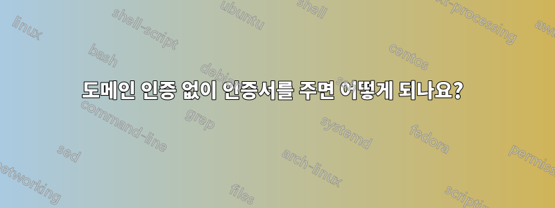 도메인 인증 없이 인증서를 주면 어떻게 되나요? 