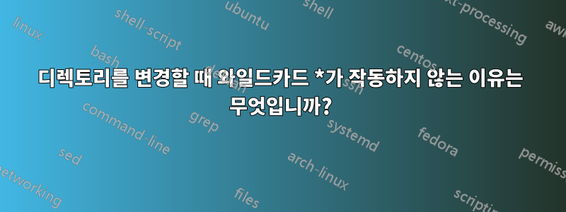 디렉토리를 변경할 때 와일드카드 *가 작동하지 않는 이유는 무엇입니까?