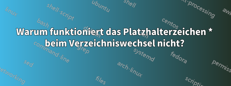Warum funktioniert das Platzhalterzeichen * beim Verzeichniswechsel nicht?