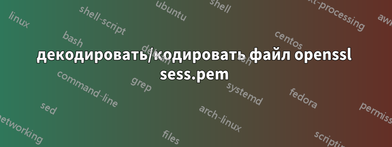 декодировать/кодировать файл openssl sess.pem