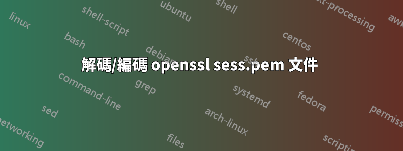 解碼/編碼 openssl sess.pem 文件