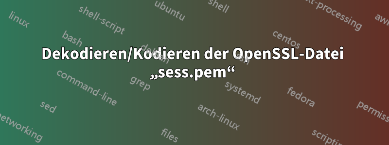 Dekodieren/Kodieren der OpenSSL-Datei „sess.pem“