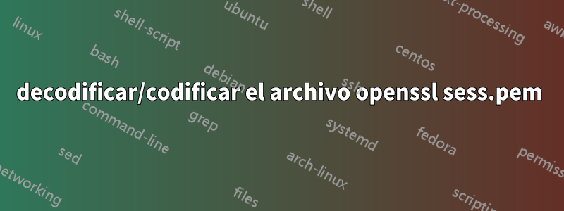 decodificar/codificar el archivo openssl sess.pem