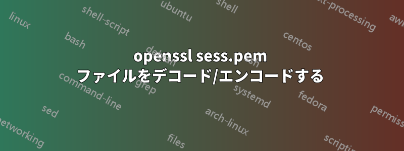 openssl sess.pem ファイルをデコード/エンコードする