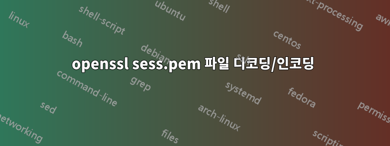 openssl sess.pem 파일 디코딩/인코딩