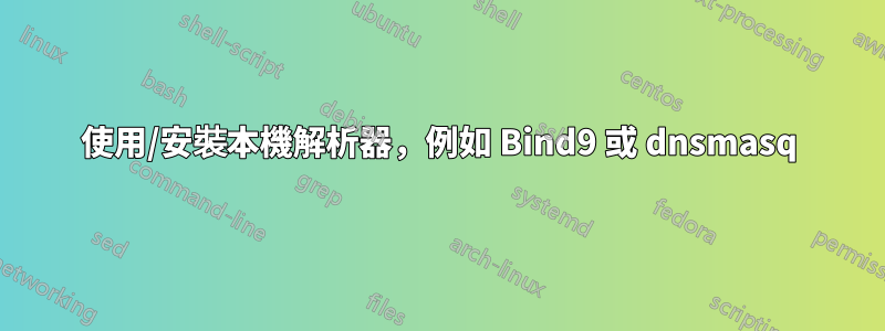 使用/安裝本機解析器，例如 Bind9 或 dnsmasq