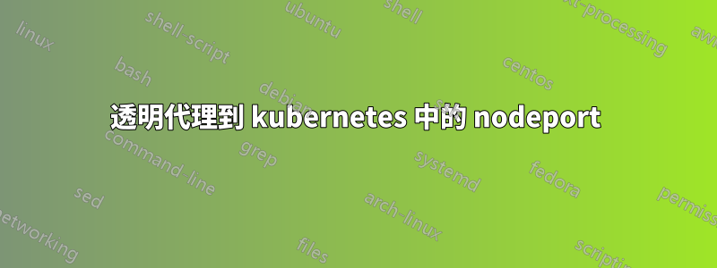 透明代理到 kubernetes 中的 nodeport