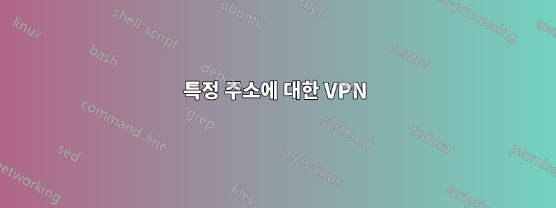 특정 주소에 대한 VPN