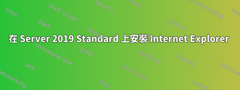 在 Server 2019 Standard 上安裝 Internet Explorer