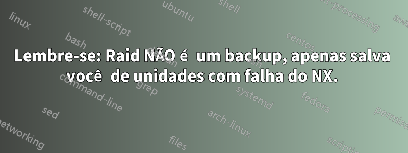 Lembre-se: Raid NÃO é um backup, apenas salva você de unidades com falha do NX.