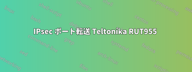 IPsec ポート転送 Teltonika RUT955