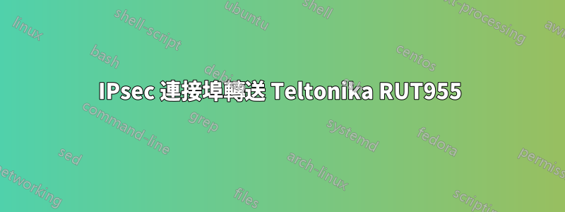 IPsec 連接埠轉送 Teltonika RUT955