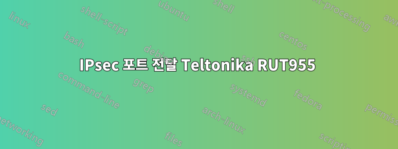 IPsec 포트 전달 Teltonika RUT955