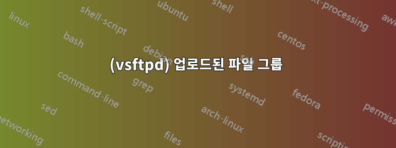 (vsftpd) 업로드된 파일 그룹