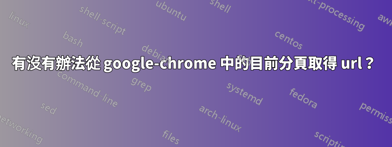 有沒有辦法從 google-chrome 中的目前分頁取得 url？