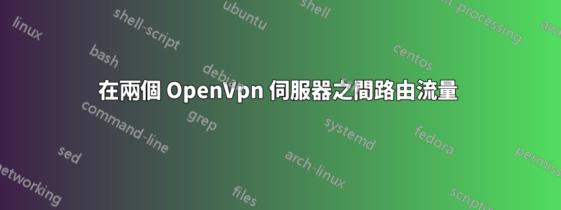 在兩個 OpenVpn 伺服器之間路由流量