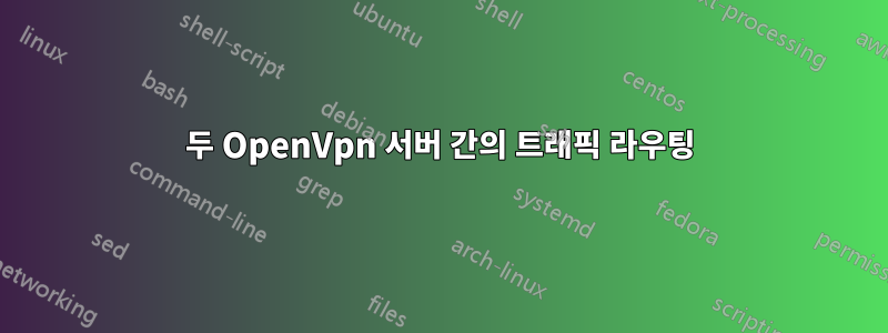 두 OpenVpn 서버 간의 트래픽 라우팅