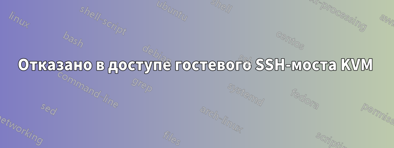 Отказано в доступе гостевого SSH-моста KVM