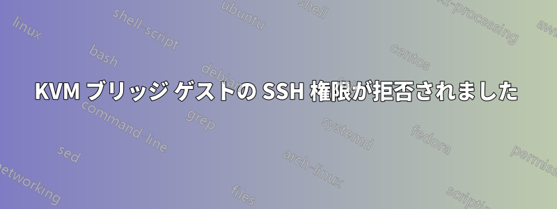 KVM ブリッジ ゲストの SSH 権限が拒否されました