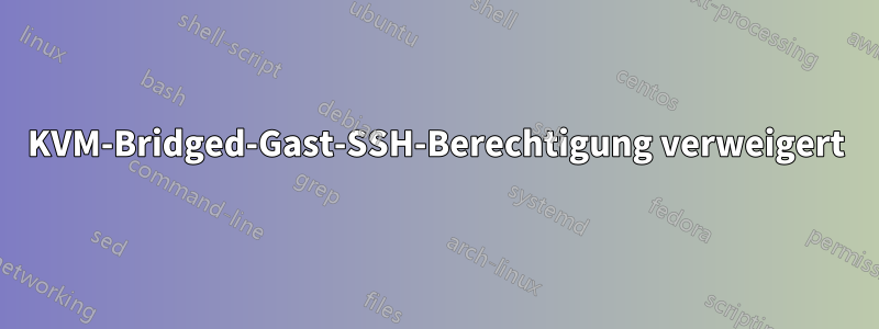 KVM-Bridged-Gast-SSH-Berechtigung verweigert