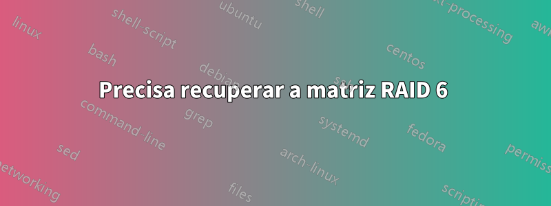 Precisa recuperar a matriz RAID 6