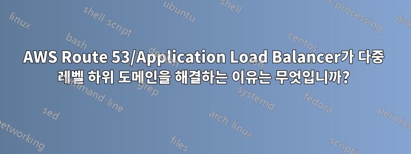 AWS Route 53/Application Load Balancer가 다중 레벨 하위 도메인을 해결하는 이유는 무엇입니까?