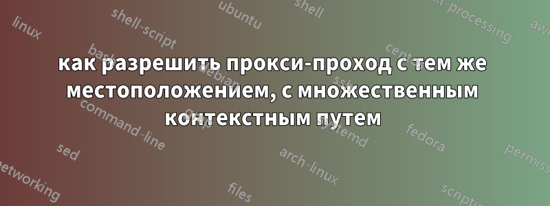 как разрешить прокси-проход с тем же местоположением, с множественным контекстным путем