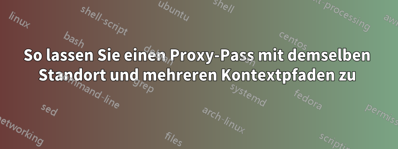 So lassen Sie einen Proxy-Pass mit demselben Standort und mehreren Kontextpfaden zu