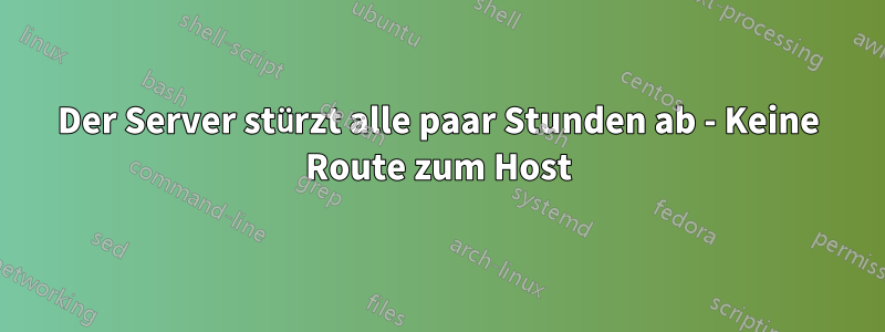 Der Server stürzt alle paar Stunden ab - Keine Route zum Host