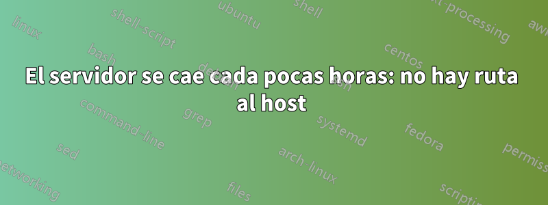 El servidor se cae cada pocas horas: no hay ruta al host