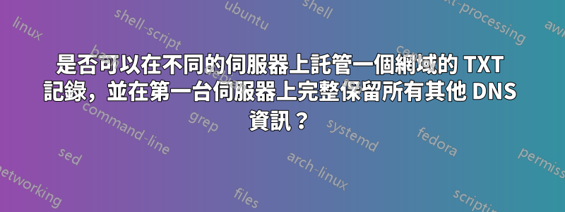 是否可以在不同的伺服器上託管一個網域的 TXT 記錄，並在第一台伺服器上完整保留所有其他 DNS 資訊？