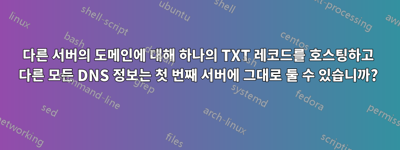 다른 서버의 도메인에 대해 하나의 TXT 레코드를 호스팅하고 다른 모든 DNS 정보는 첫 번째 서버에 그대로 둘 수 있습니까?