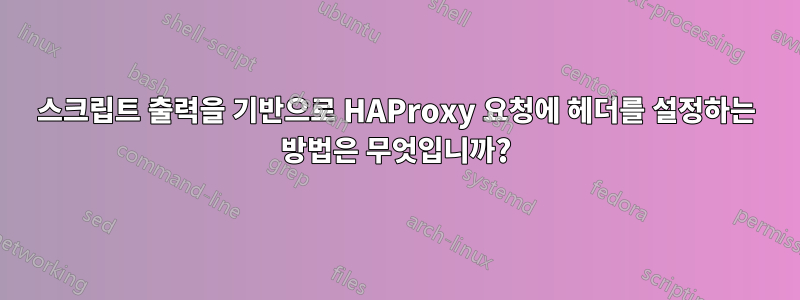 스크립트 출력을 기반으로 HAProxy 요청에 헤더를 설정하는 방법은 무엇입니까?