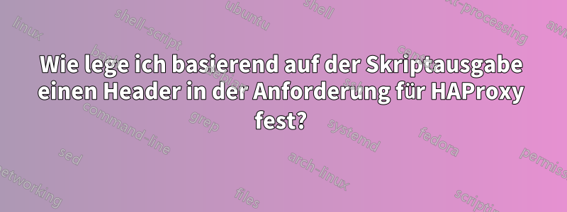 Wie lege ich basierend auf der Skriptausgabe einen Header in der Anforderung für HAProxy fest?