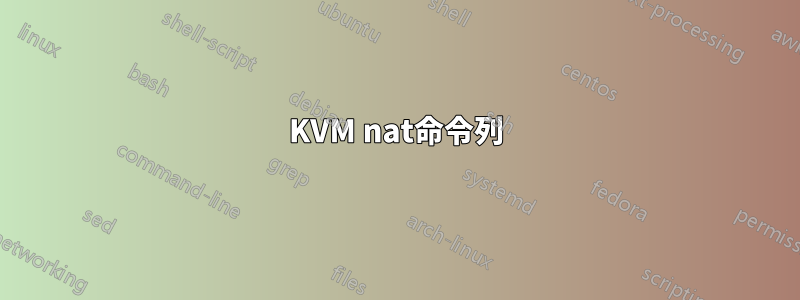 KVM nat命令列