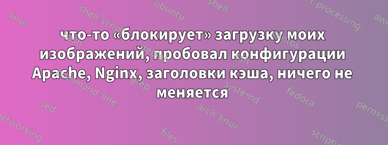 что-то «блокирует» загрузку моих изображений, пробовал конфигурации Apache, Nginx, заголовки кэша, ничего не меняется