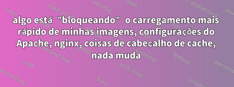 algo está "bloqueando" o carregamento mais rápido de minhas imagens, configurações do Apache, nginx, coisas de cabeçalho de cache, nada muda