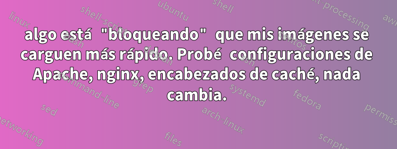 algo está "bloqueando" que mis imágenes se carguen más rápido. Probé configuraciones de Apache, nginx, encabezados de caché, nada cambia.