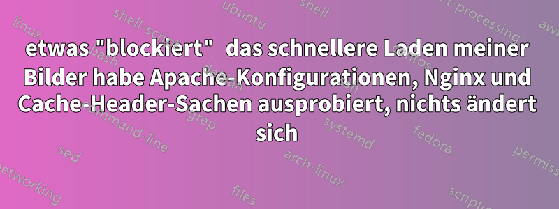 etwas "blockiert" das schnellere Laden meiner Bilder habe Apache-Konfigurationen, Nginx und Cache-Header-Sachen ausprobiert, nichts ändert sich