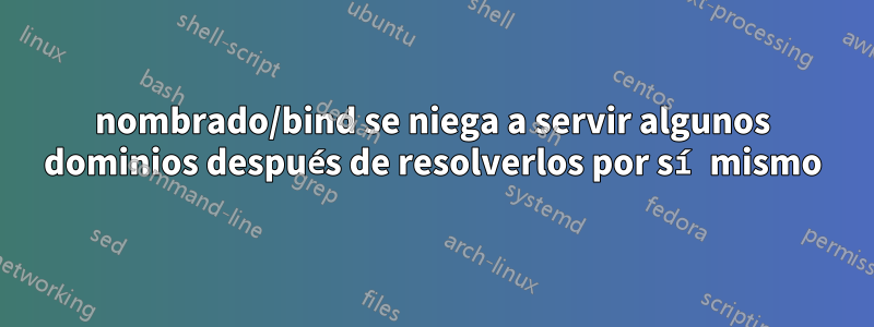 nombrado/bind se niega a servir algunos dominios después de resolverlos por sí mismo