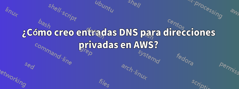 ¿Cómo creo entradas DNS para direcciones privadas en AWS?